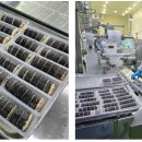 연김밥 헬로디디