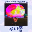 &lt;제주도밤산책하기좋은곳&gt;루나폴(ft. 소요시간, 위싱볼후기 등)