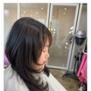 238 | 무작정 길렀다가 하이레이어드컷 하고 왔어요 평촌컷트잘하는곳 헤어에비뉴238 후기