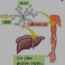 헬스에 빠GYM 이미지