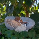 방축리 383-14 마을진입로 | 식당) 외옹치항 둘레길·대포항 전망대·상도문돌담마을·옛미시령길·카페설악산로·대추한알가든...