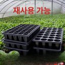 이웃사랑의 집 | 깊은육묘판 사용후기 보고 달라진 우리 집 베란다 풍경