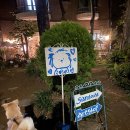 시아하우스 | 반려동반 도자기 클래스 ‘시아로하우스’ 수강후기!