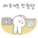국수나무아산 - 아산시 설화고길 6 | 국수나무아산