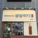 양양하다 이미지