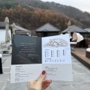 펫펜션 휴 이미지