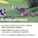 맘스마인드 트레이딩 이미지