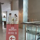 🤎 W5. 창원, 부산 결혼 박람회 다녀온 후기(ceco 결혼 박람회 / 겔버트 가구 / D102 / 로릭 테일러...