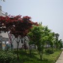 원주시청 이미지