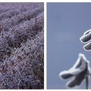 한율이네 농장 이미지