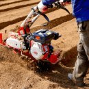 린네약국 이미지