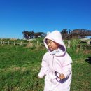 재형목장 이미지