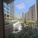 대치2-113 이미지