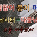 남창낚시터 이미지
