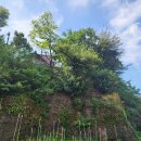 건들바위 이미지