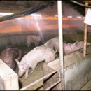 농가의 겨울 이미지