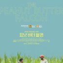 피넛버터팔콘