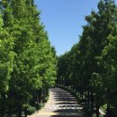 천화당한의원 이미지