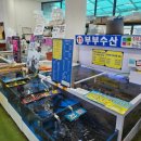 감포맛집 감포횟집 경주횟집 감포수산시장 부부수산 모듬회 해산물 포장후기