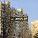 압구정-209 이미지