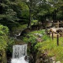 박달재휴양림 | [충북/제천] 박달재휴양림 제2야영장 쇄석 14번 후기