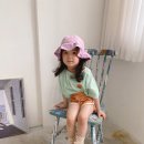 파파트리