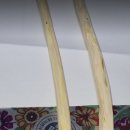 장군목장 이미지