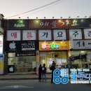 애플가요주점 - 거제시 거제중앙로27길 8 | 애플가요주점
