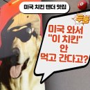 [서부] 나도바리스타 A | 미국 치킨 덴더 맛집 어디? 레이징 케인스 후기 메뉴 가격 총정리 Raising Cane's Chicken Fingers