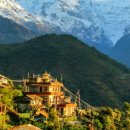 차여행사㈜ 이미지