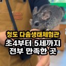 다솜이벤트 | 청도가볼만한곳 다솜생태체험관 후기 초등학생부터 5세까지 모두 만족한 청도실내동물원