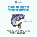 피부힐링 - 장흥군 | 피부힐링