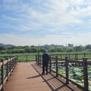 안심2농로 이미지