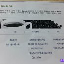 파이올린 이미지