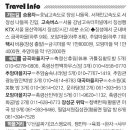 나무숲 이미지