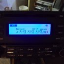 Y 모터스 이미지