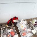 하비펫샵 이미지