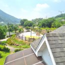 남한강낚시 | 충청도독채펜션 강가의아침펜션 남한강 뷰 충청도워크샵펜션 솔직 후기