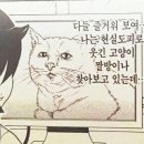 CC마라탕&찐만두 | 뭐했다고 6월?..