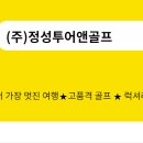 정성투어앤골프