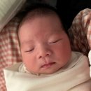 늘푸른임안과의원 | 군포 늘푸른소아청소년과 신생아 설소대 수술과 BCG 피내접종 후기