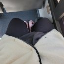 (주)마루세끼 | 이모 사실 할리갈리 타짜야✌️ 초2랑 맞짱까고 온 후기(헬스장, 설날푸드, 디델리, 이삭토스트, 보통리...