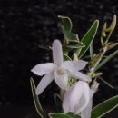 석곡농협 하나로마트 이미지