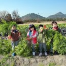 구암3농장 이미지