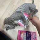 홍익플라자약국 이미지