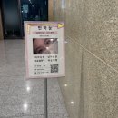 (주)네츄럴메이드 | 꾸안꾸 원했는데 딱 이거, 판교속눈썹 반하눈 솔직후기