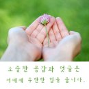 서귀포 맛집 ★ 한상 가득한 팔공주네횟집