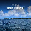 괌 돌핀크루즈 가격 및 복장정보 아이도 안전한 돌고래투어 후기