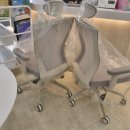 청소년 푸르미르 작은도서관 이미지