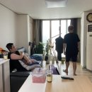 참달아 참외